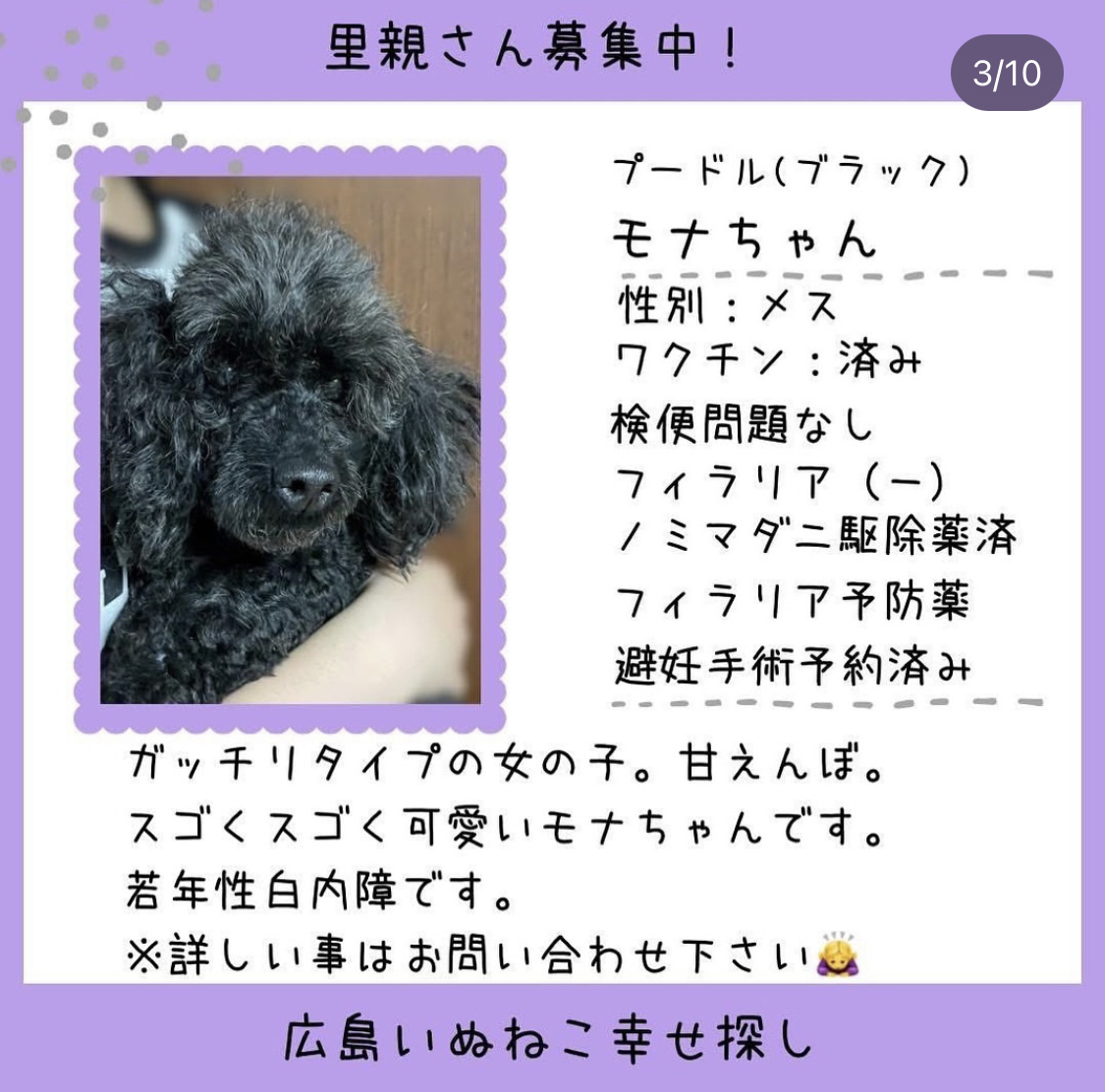 モナちゃん