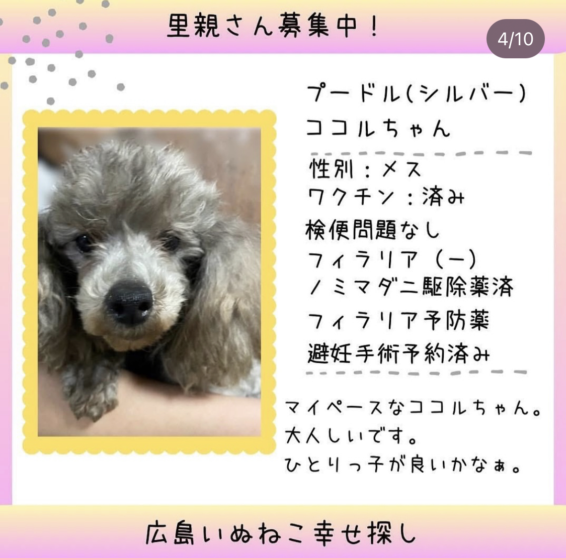 ココルちゃん