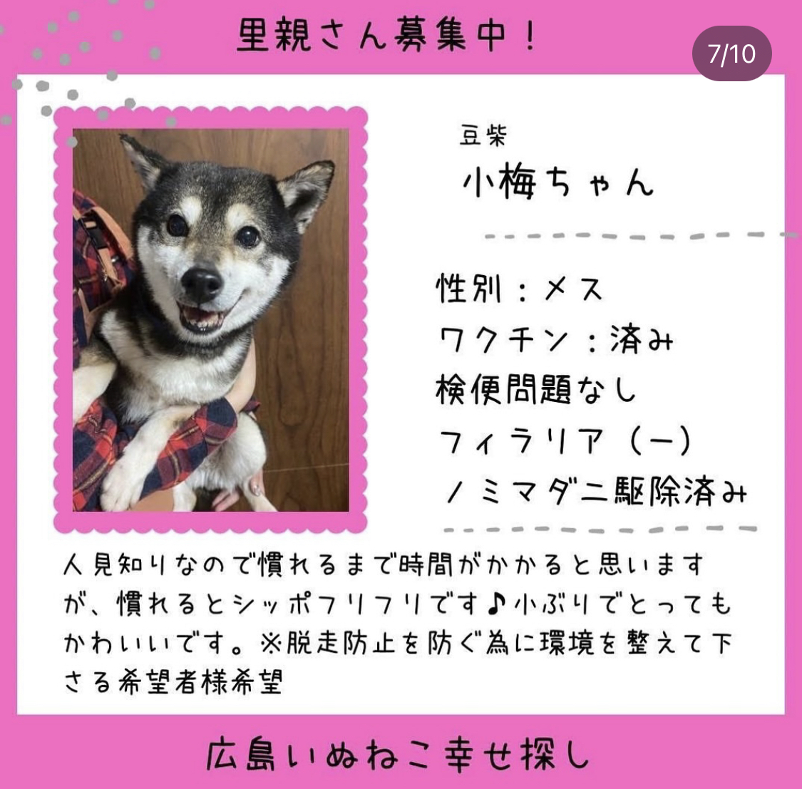小梅ちゃん