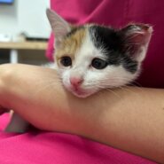 ちょっと怖がりなエマちゃん！