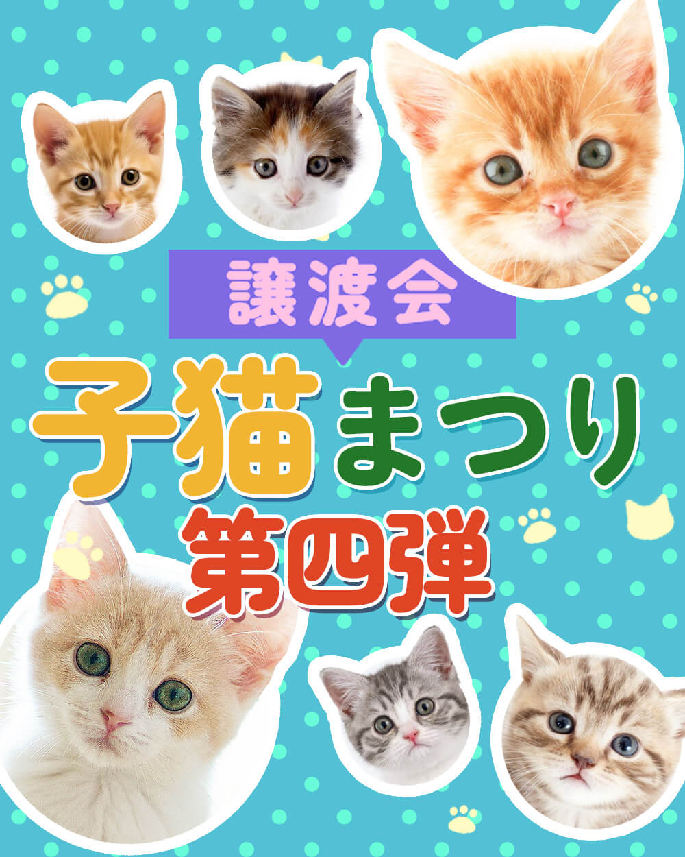 【子猫まつり第4弾】ちびねこ20匹くらい★みよし市