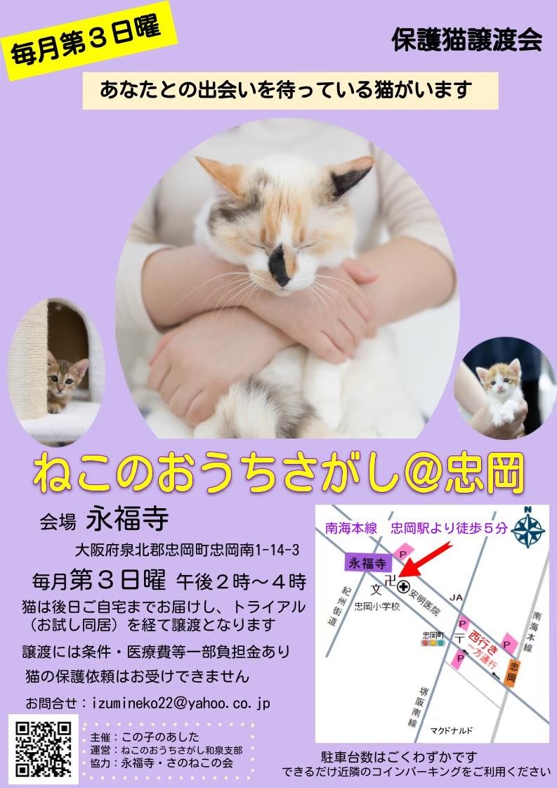 第43回ねこのおうちさがし@忠岡