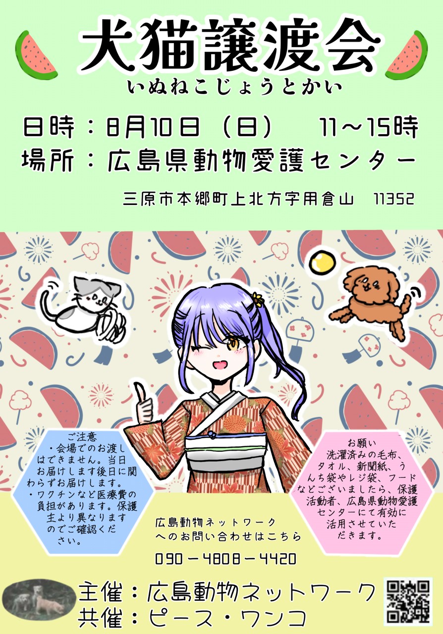 犬猫譲渡会