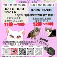 猫の古民家里親会in伊賀❣️