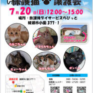 保護猫譲渡会