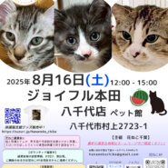 花ねこ譲渡会