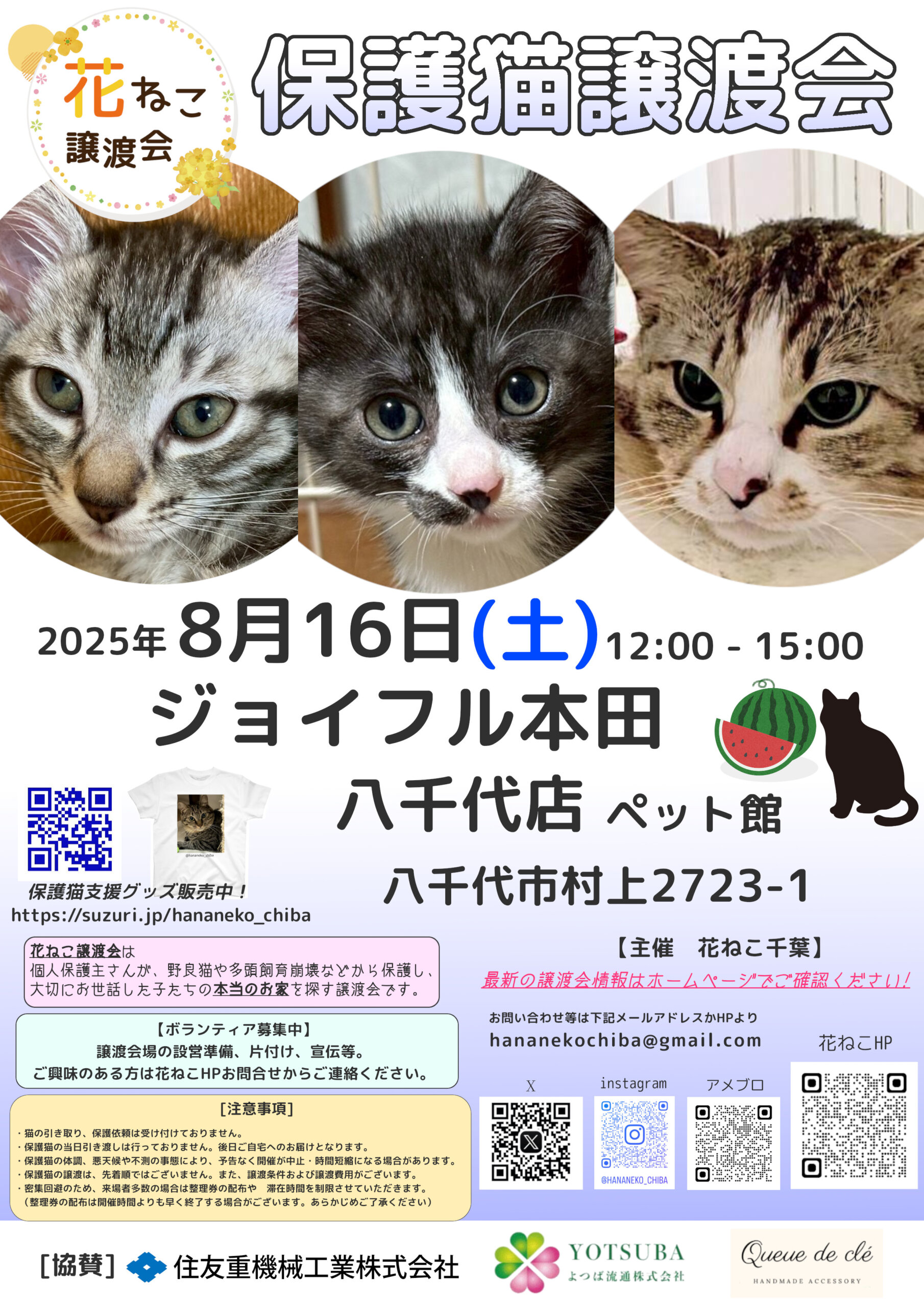 花ねこ譲渡会
