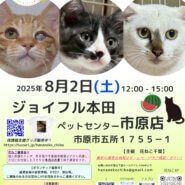 花ねこ譲渡会