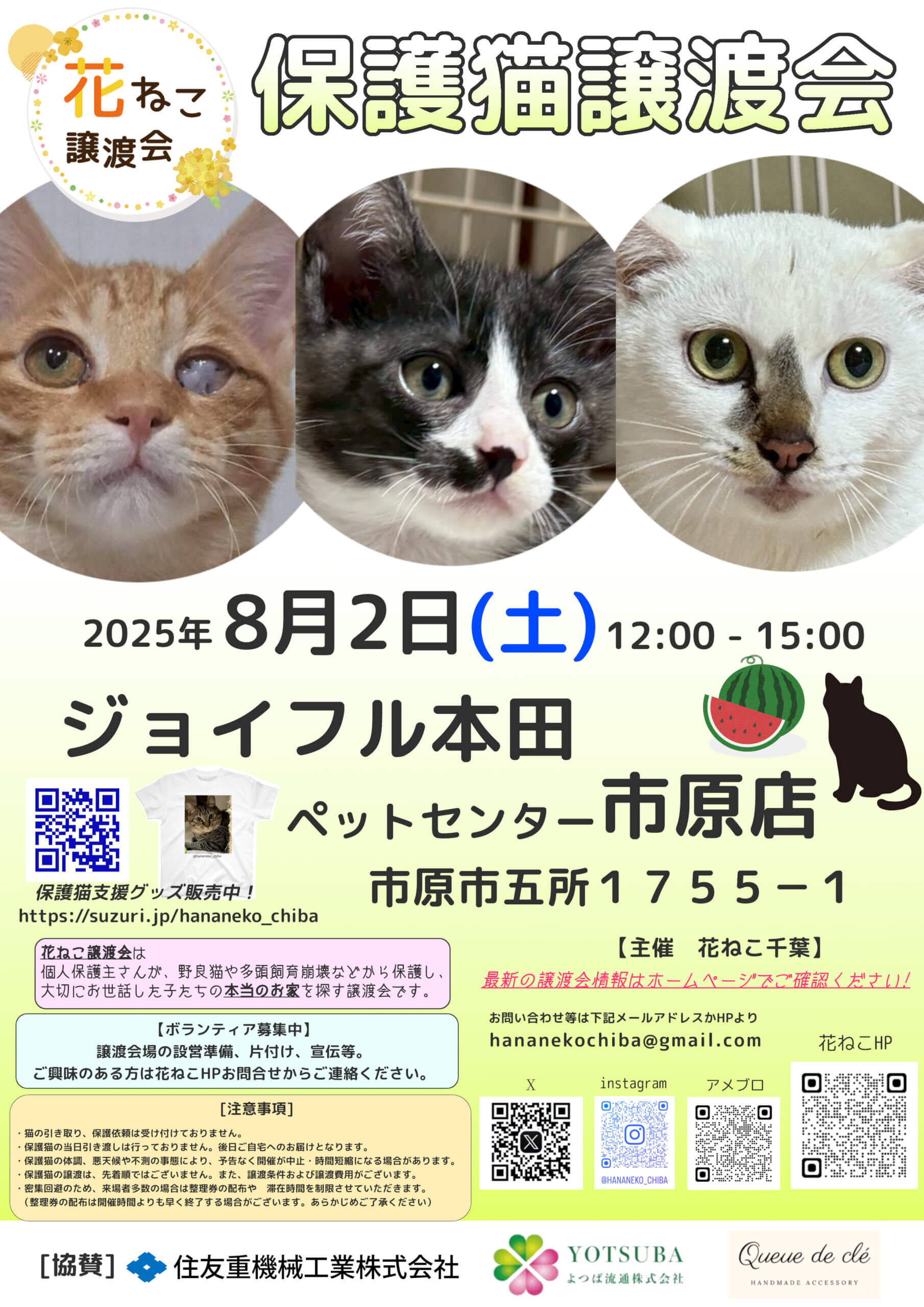 花ねこ譲渡会