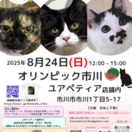 花ねこ譲渡会