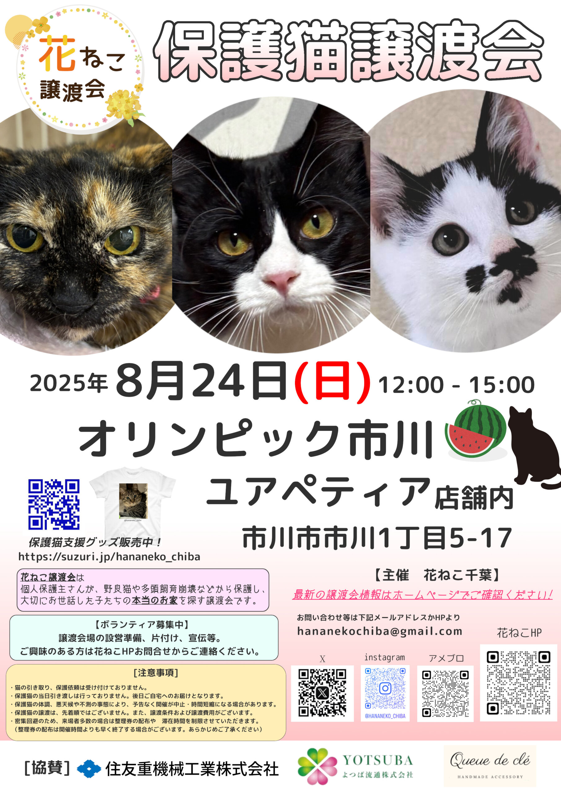 花ねこ譲渡会