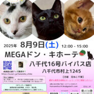 花ねこ譲渡会