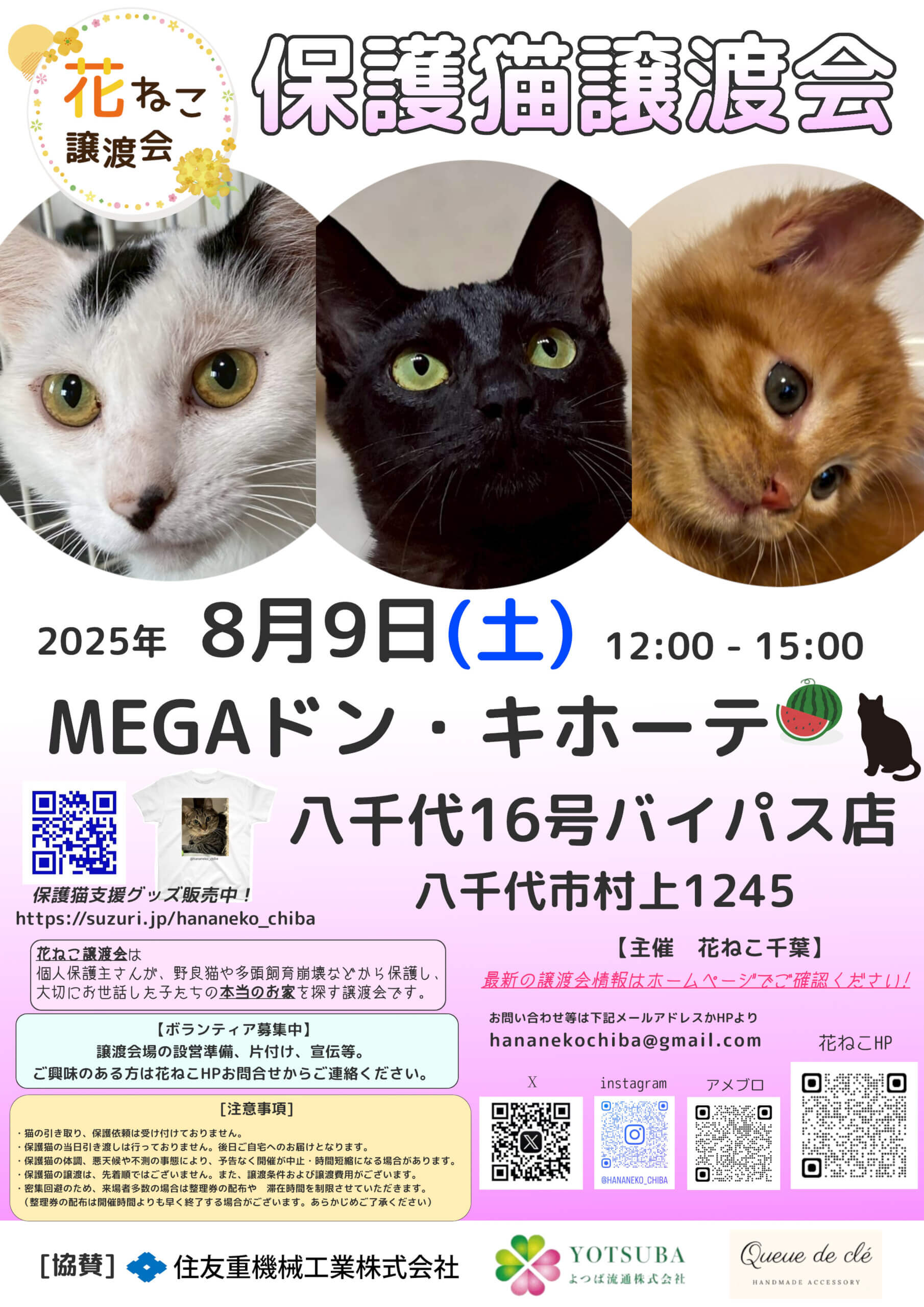 花ねこ譲渡会