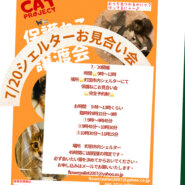 HappyCats〜ねこに恩返し〜保護ねこ譲渡会