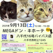 花ねこ譲渡会