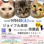 花ねこ譲渡会