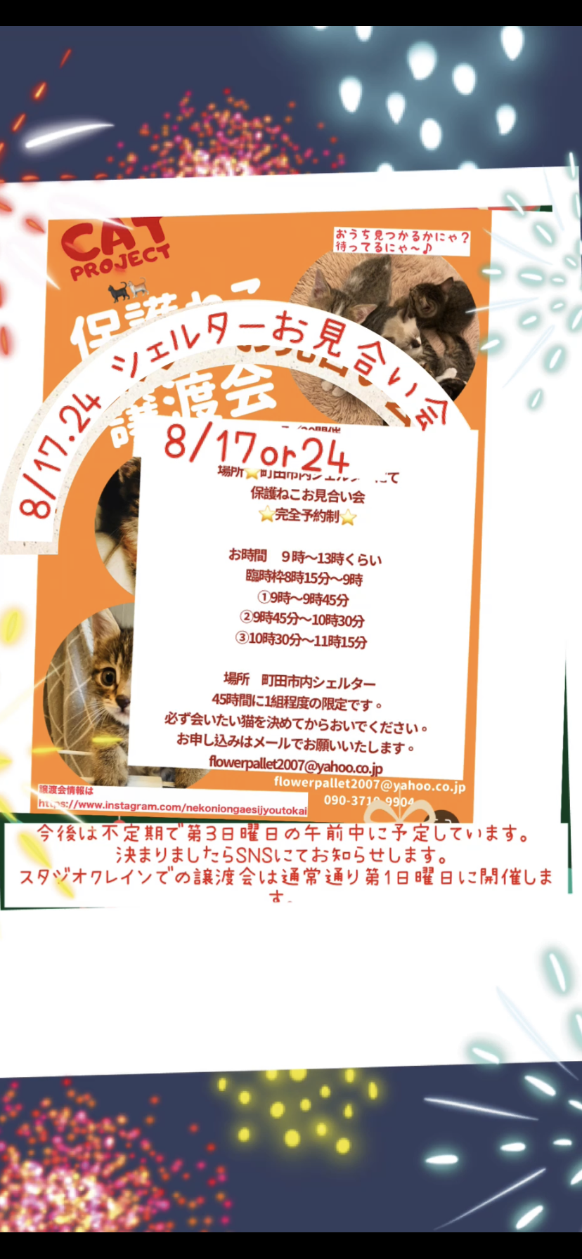 HappyCats〜ねこに恩返し〜保護ねこシェルターお見合い会