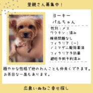 パルちゃん