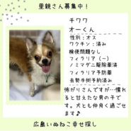 オー君