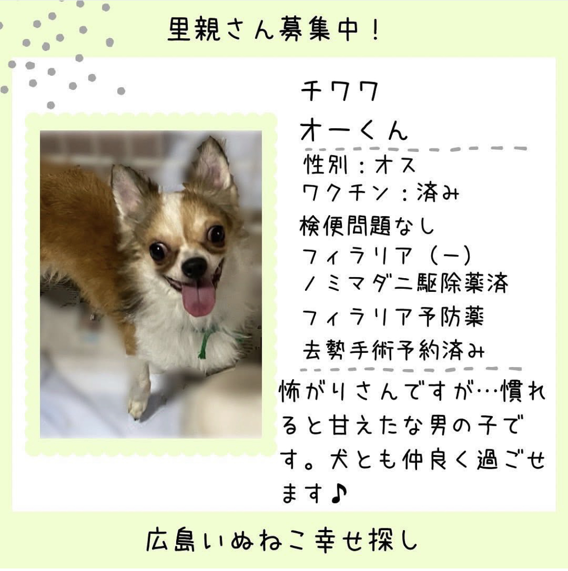 オー君