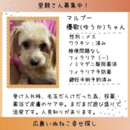 優歌(ゆうか)ちゃん