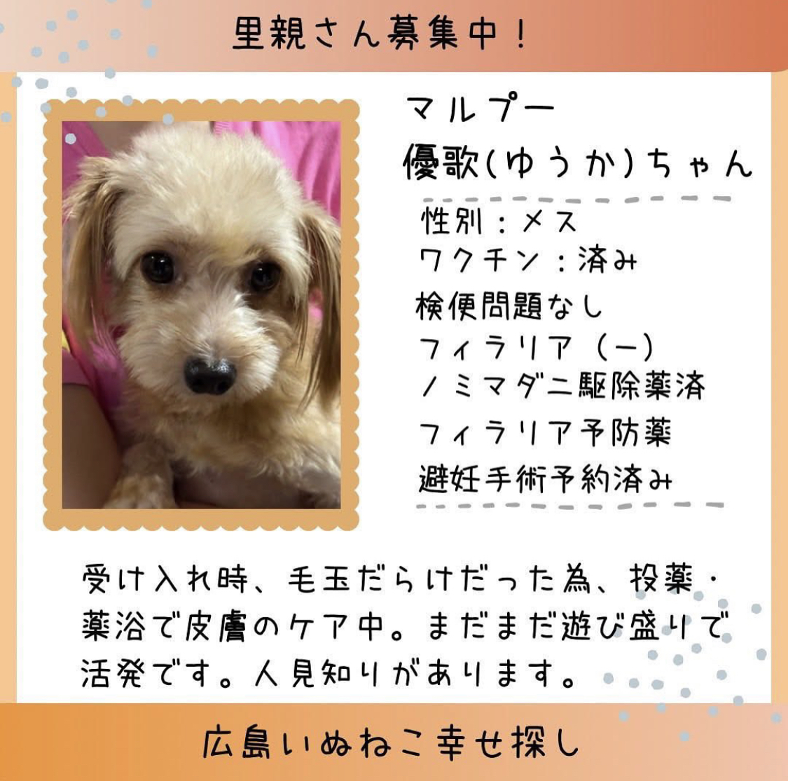 優歌(ゆうか)ちゃん