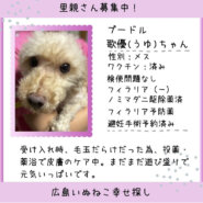 歌優(うゆ)ちゃん