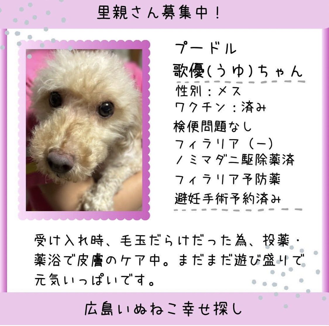 歌優(うゆ)ちゃん