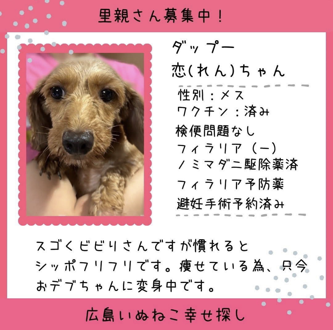 恋(れん)ちゃん
