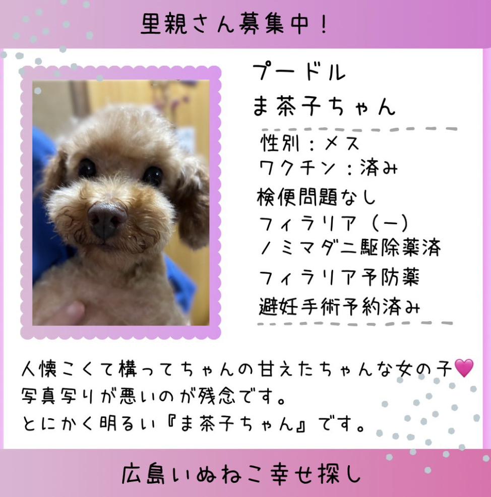 ま茶子ちゃん