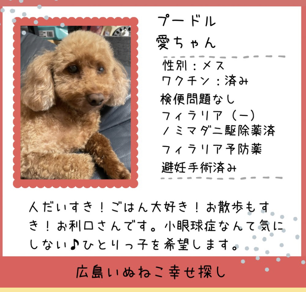 愛ちゃん