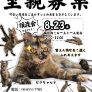 ふれあえる譲渡会 in大阪市