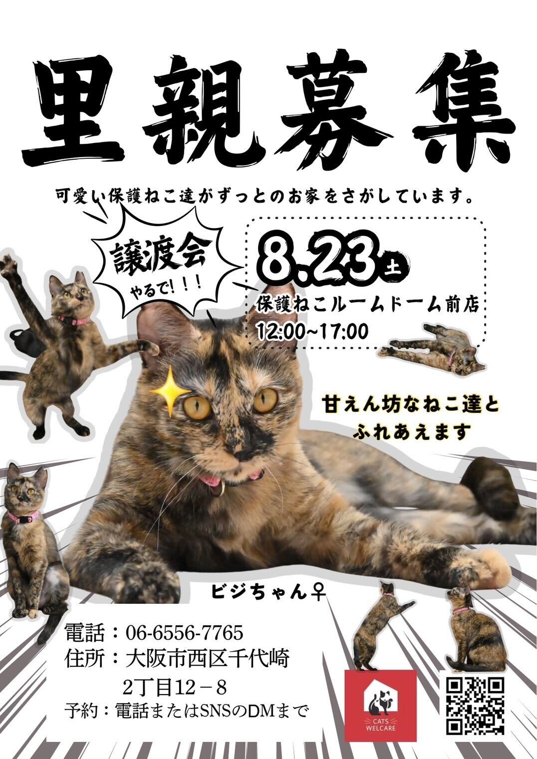 ふれあえる譲渡会 in大阪市