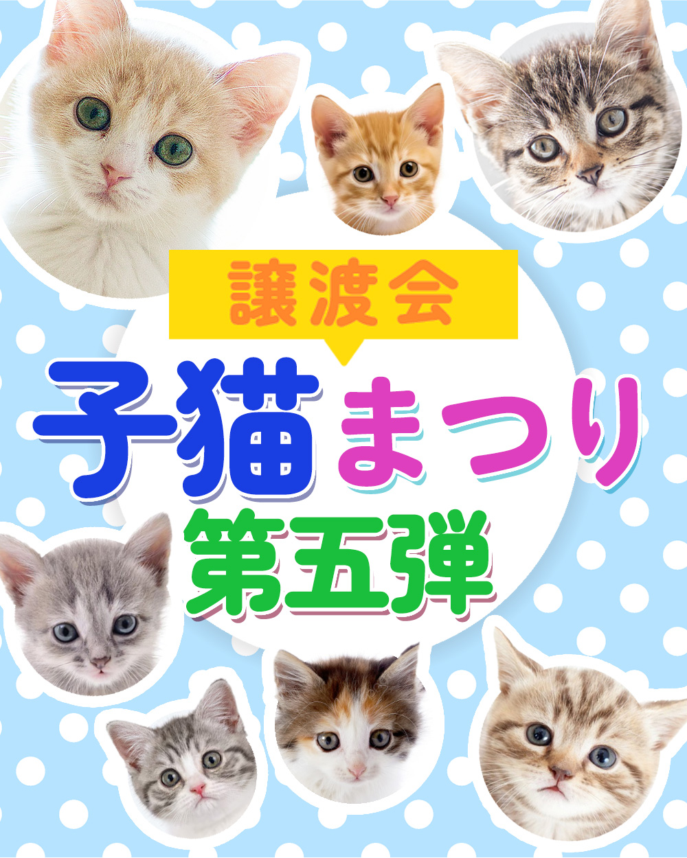 【子猫まつり第5弾】子猫30匹くらい★みよし市