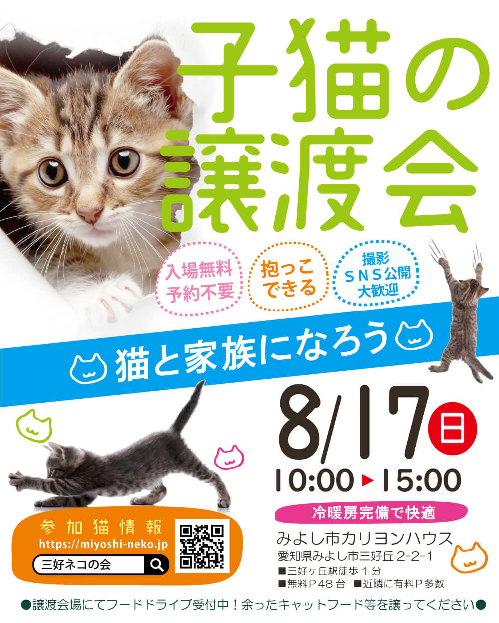 【子猫まつり】子猫25匹～30匹くらい★みよし市