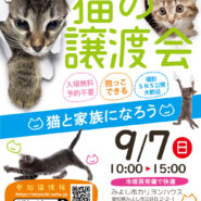 【子猫まつり】子猫中心に25匹くらい★みよし市