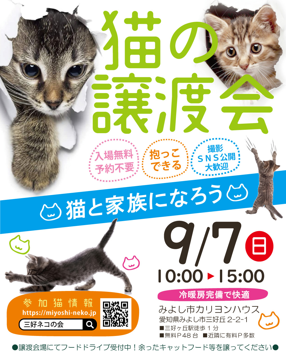 【子猫まつり】子猫中心に25匹くらい★みよし市