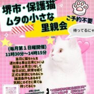8月2日（日)開催★大阪府堺市★ムタの小さな里親会★