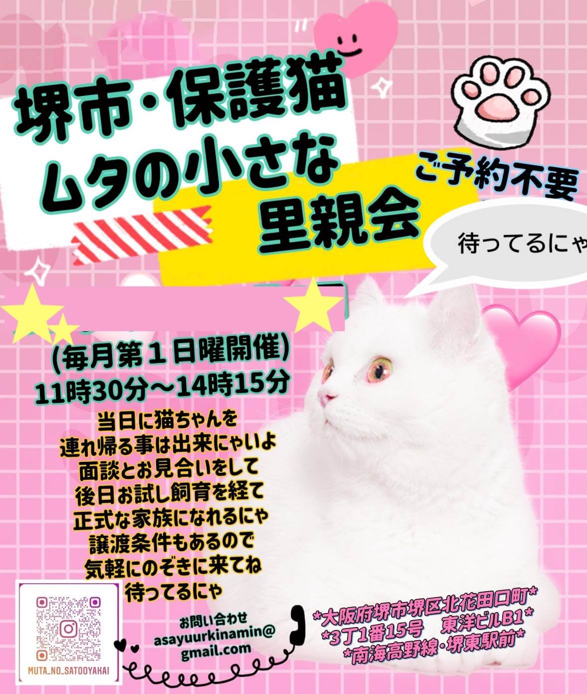 9月7日（日)開催★大阪府堺市★ムタの小さな里親会★