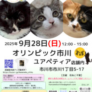 花ねこ譲渡会