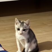 生後3ヶ月頃の女の子です‼️