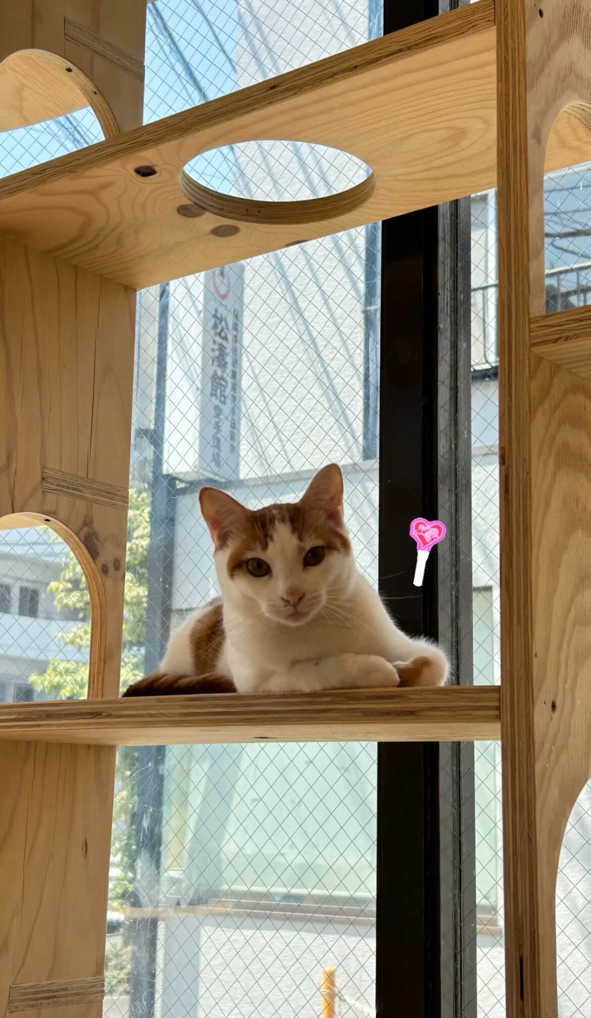 おっとり優しいこういちくん