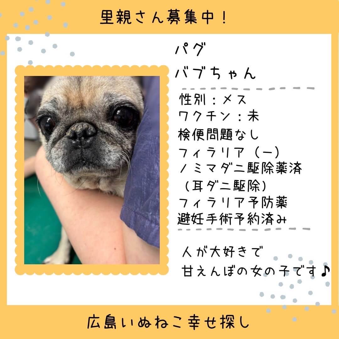 バブちゃん