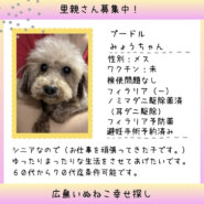 みょうちゃん