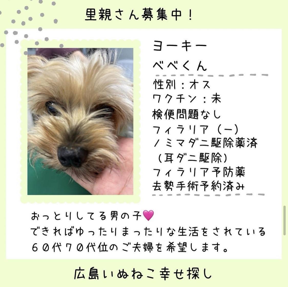 べべ君