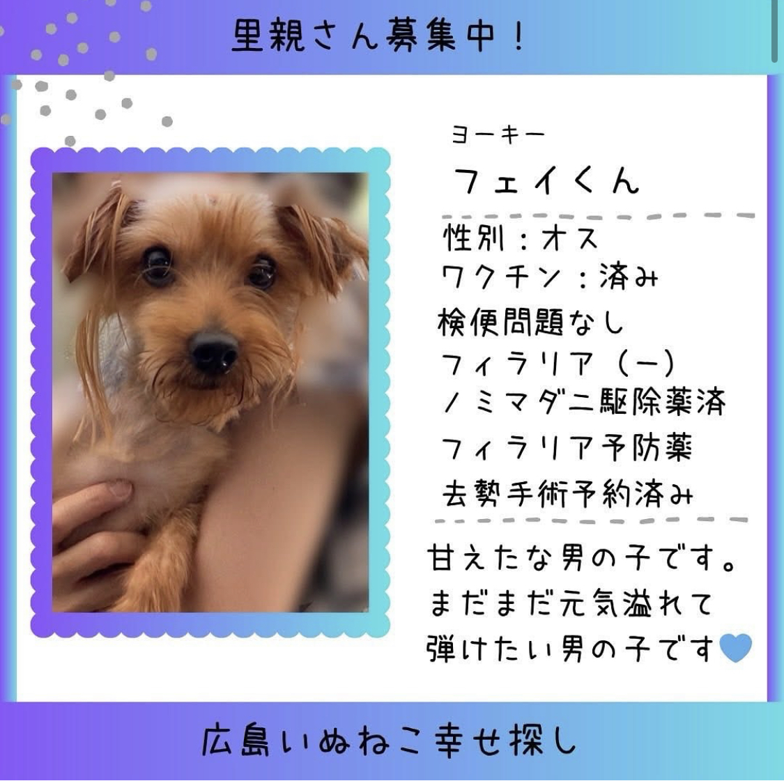 フェイ君