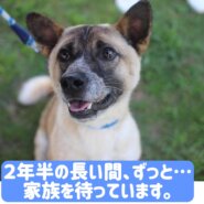元気いっぱい💪甘えん坊のゾロくん