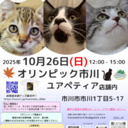 花ねこ譲渡会