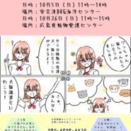 犬猫譲渡会