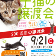 まだまだ子猫まつり★みよし市